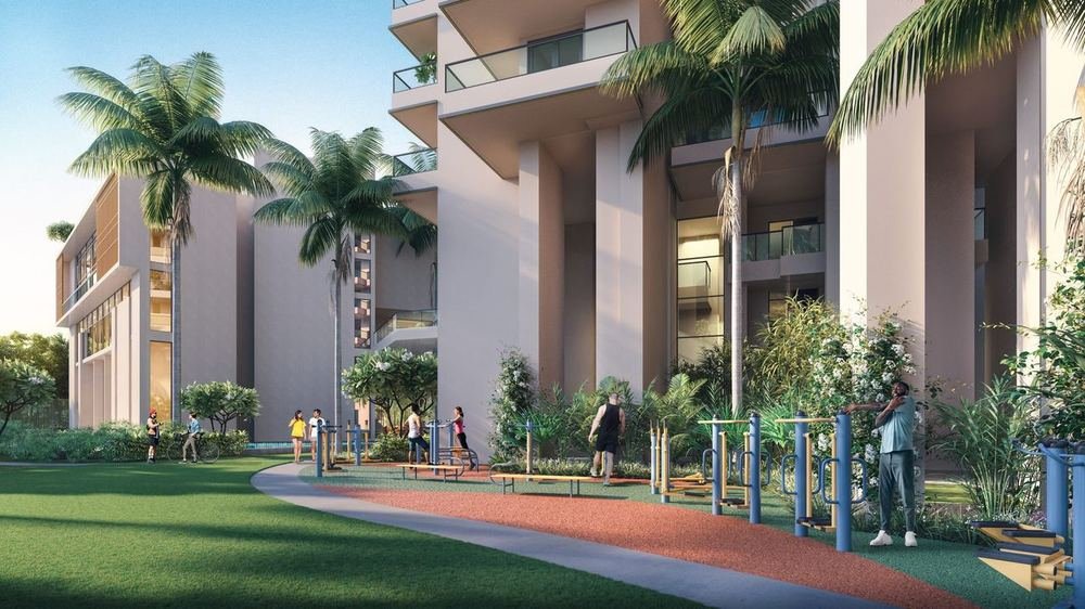 Open-air fitness trail among palms